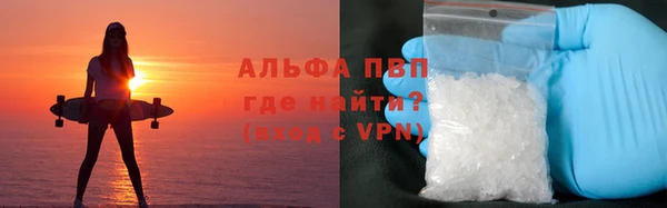 PSILOCYBIN Абдулино