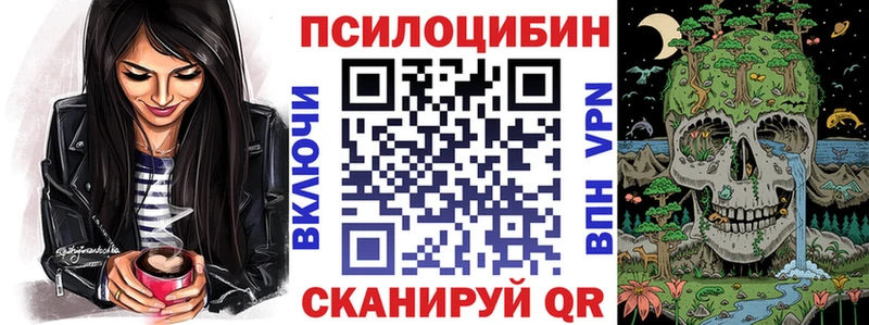 Галлюциногенные грибы Psilocybine cubensis Беломорск